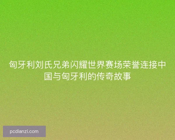匈牙利刘氏兄弟闪耀世界赛场荣誉连接中国与匈牙利的传奇故事