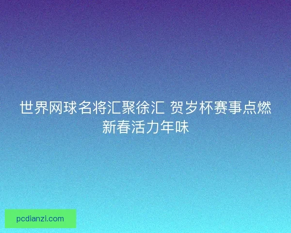 世界网球名将汇聚徐汇 贺岁杯赛事点燃新春活力年味