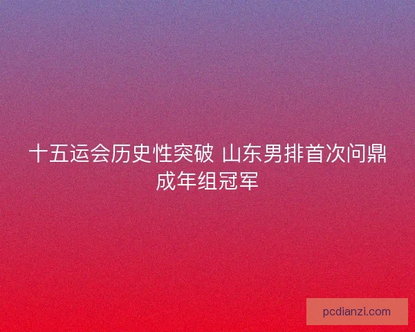 十五运会历史性突破 山东男排首次问鼎成年组冠军